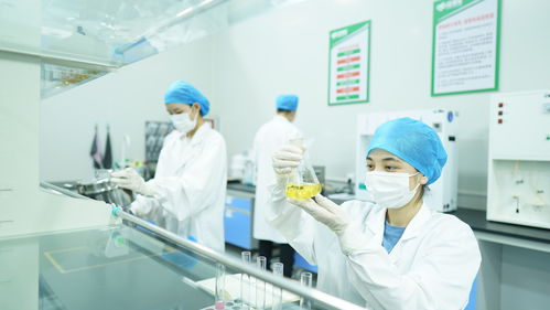 疆果果健康食品研究院獲評自治區(qū)級企業(yè)技術中心，引領健康食品產業(yè)創(chuàng)新發(fā)展
